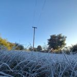 Ola polar en Misiones Posadas registró -1 °C y se reportaron heladas intensas (4)